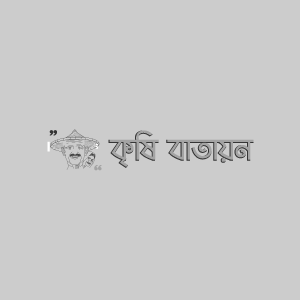 মিষ্টি আলুর ফ্লি বিটল পোকা