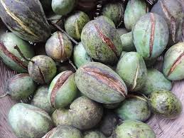 ফুল ঝরা, ফল ফাটা এবং ফলের আকার বিকৃত হওয়ার কারণ